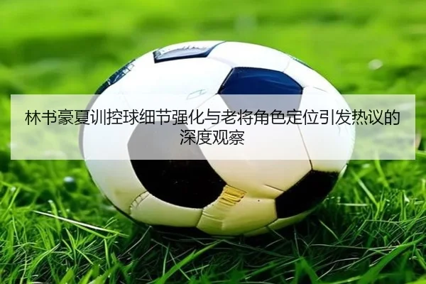 林书豪夏训控球细节强化与老将角色定位引发热议的深度观察