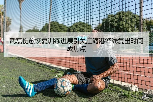 武磊伤愈恢复训练进展引关注海港锋线复出时间成焦点