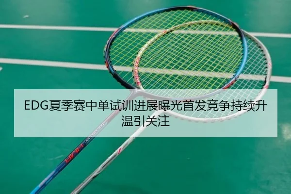 EDG夏季赛中单试训进展曝光首发竞争持续升温引关注